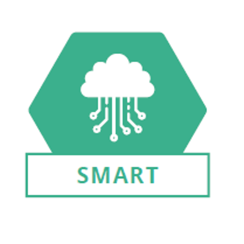 Interreg Europe Topic Smart icon