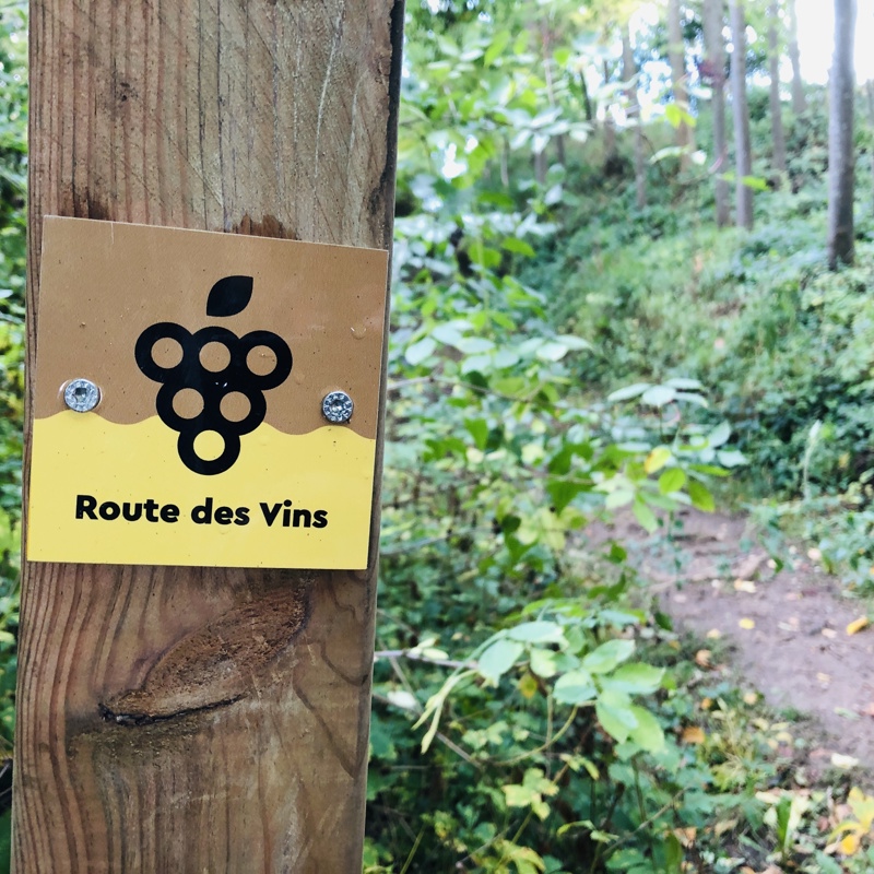 Een bordje met een druifje op een houten paal om de weg aan te geven van de Route des Vins door het bos