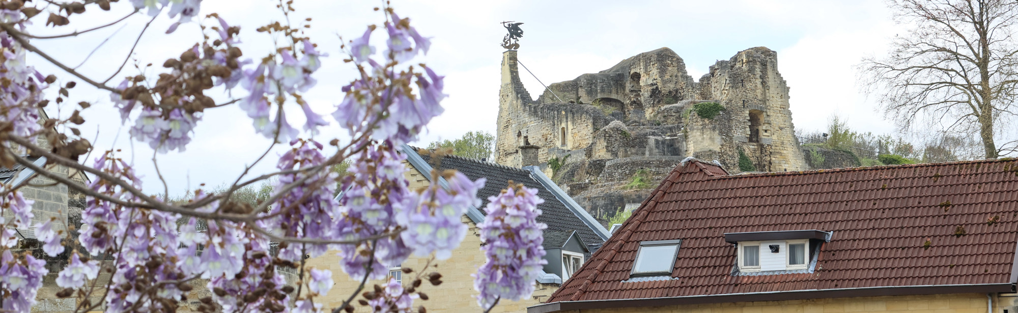 Bloesem takken op de voorgrond, met daarachter huizen van mergel en in de verte de kasteelruïne van Valkenburg. 