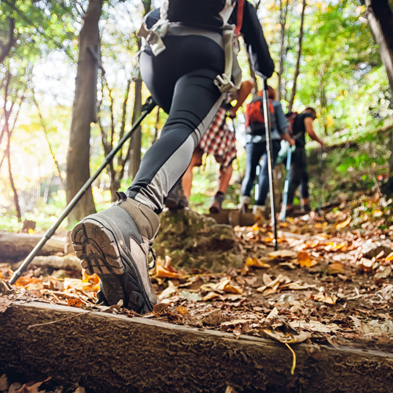 Wandeltocht met Nordic Walking stokken door het bos met herfstbladeren