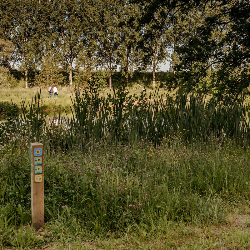 Een houten knooppuntenpaaltje staat voor het riet van een vijver met op de achtergrond een wandelend koppel genietend van de zon