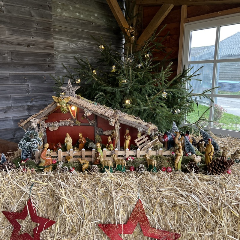 Mooie openbare kerststal bij de schaapskooi in epen.