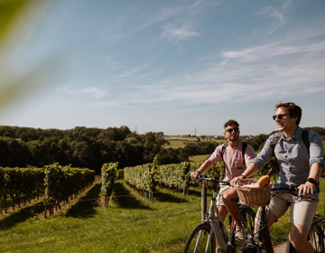 Twee jongemannen fietsen langs de wijngaarden in Meerssen