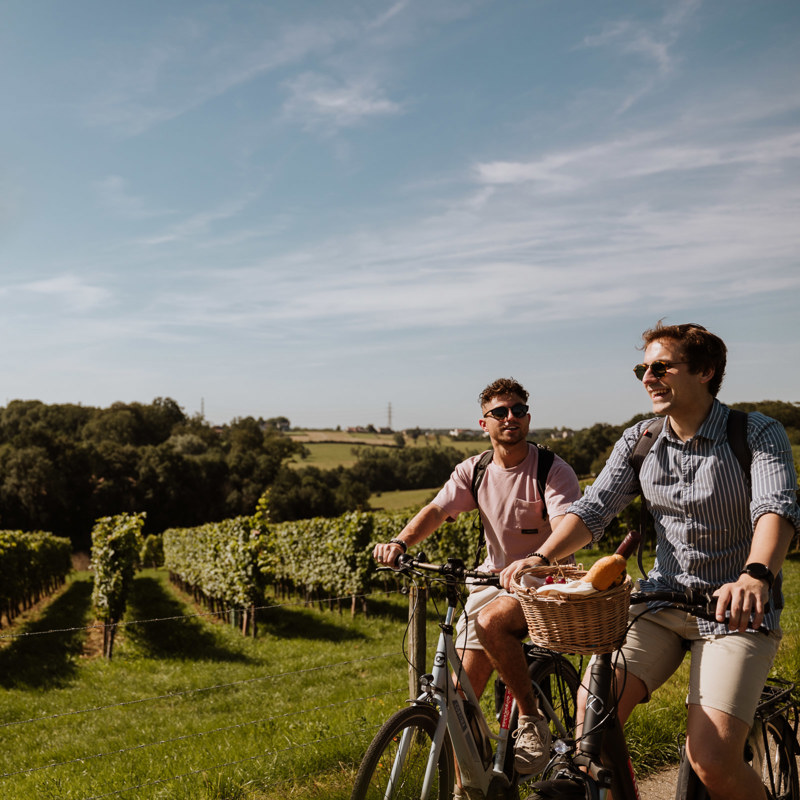 Twee jongemannen fietsen langs de wijngaarden in Meerssen