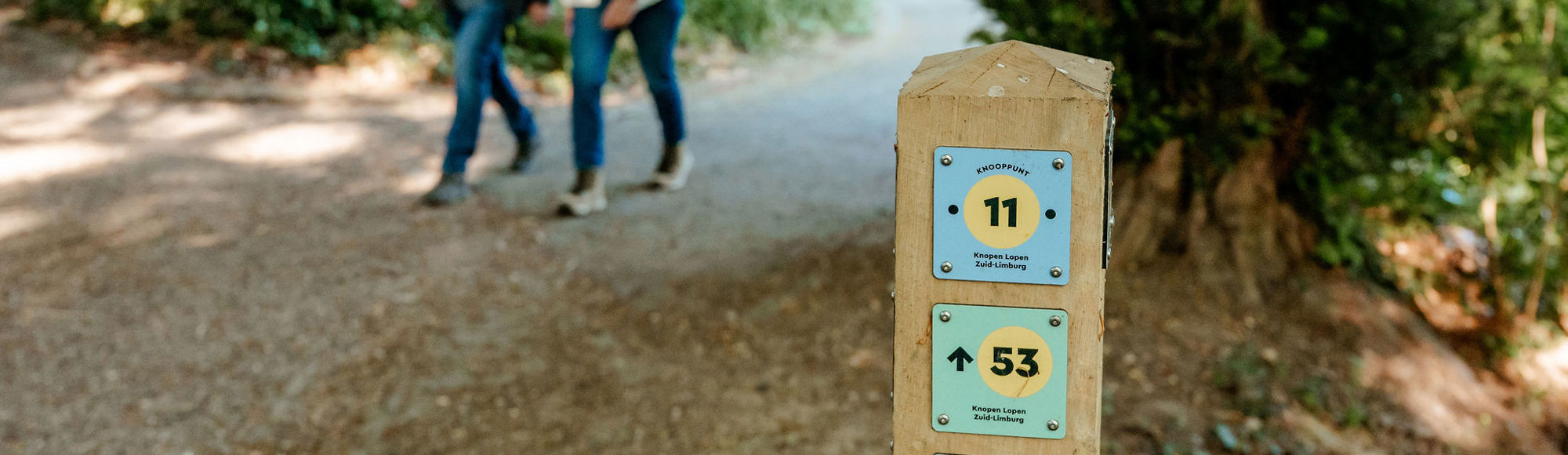 Houten knooppuntenpaaltje 11 met twee wandelaars op de achtergrond in het bos