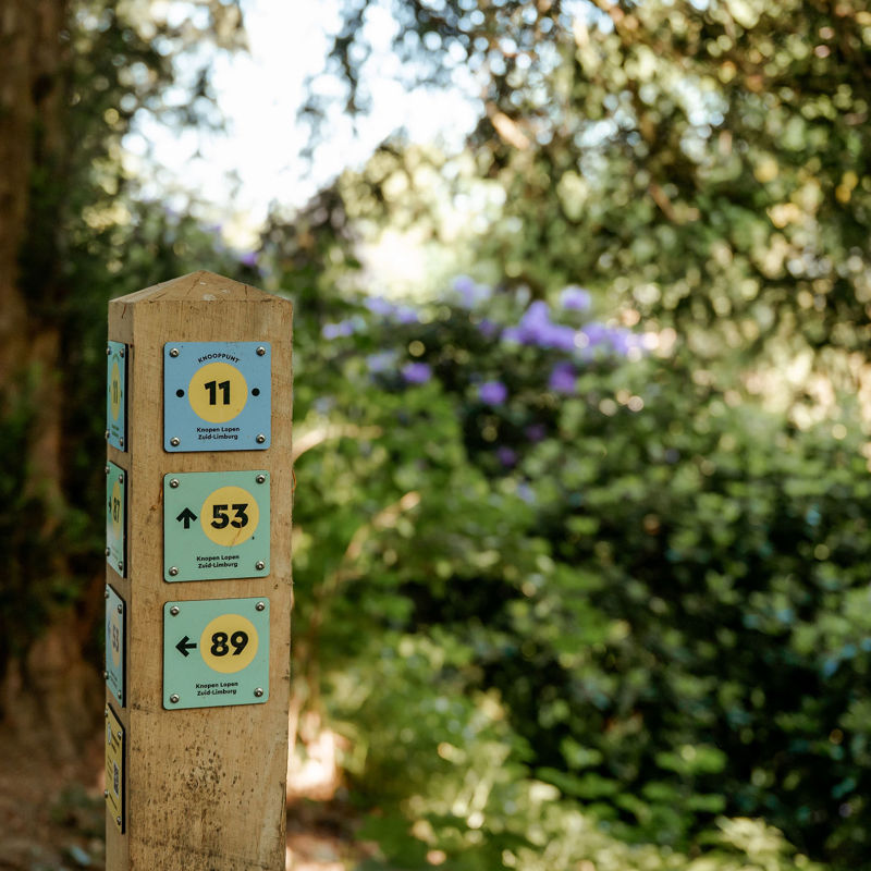 Houten knooppuntenpaaltje in het bos bij struiken met mooie paarse bloemen