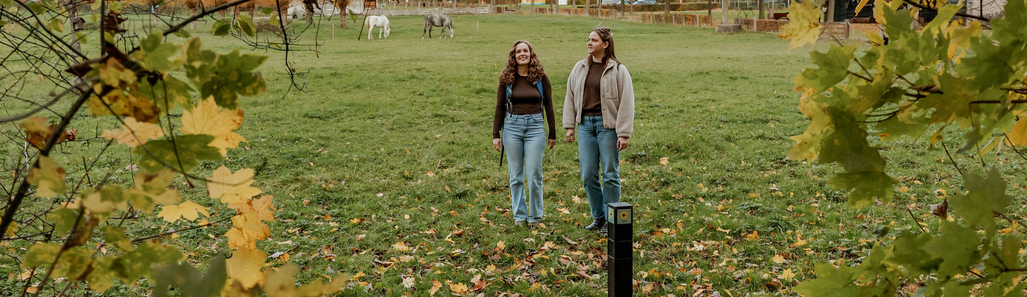 Twee vrouwen lopen door een weiland met paarden richting een hekje in de vroege herfst