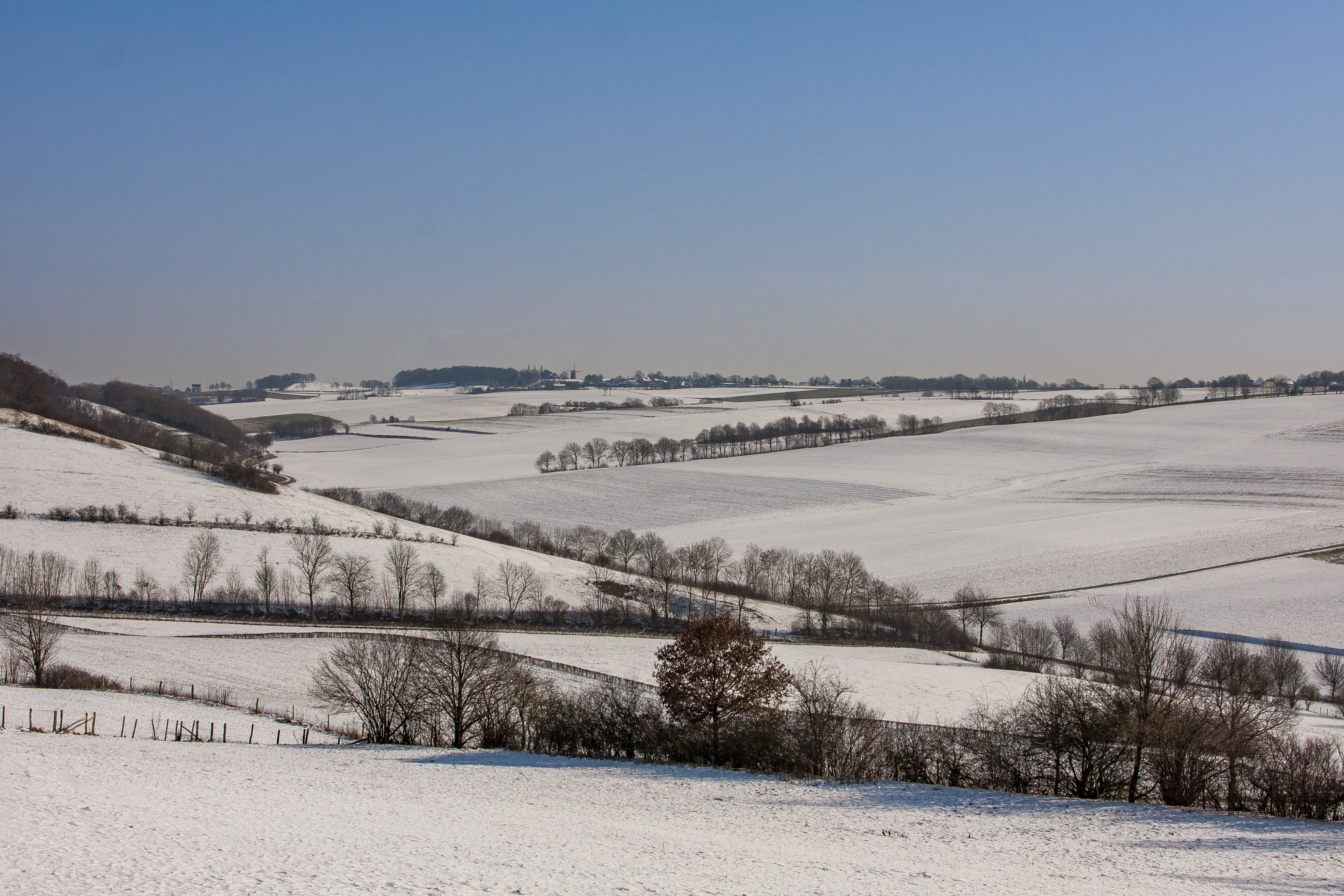 Trends in de vrijetijdssector in 2024